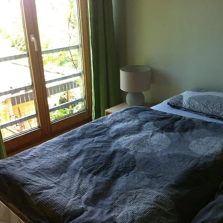 Appartement Ferienwohnung Hauskoch *