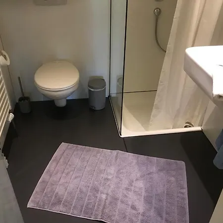 Apartment Ferienwohnung Hauskoch